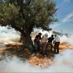 Kevin Frayer (Associated Press): Palestinian protestors take cover from Israeli tear gas