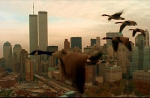 vandormadarak_vadludak_newyork vandormadarak vadludak newyork 300x196 Vándormadarak