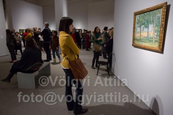 Paul Cezanne exhibition