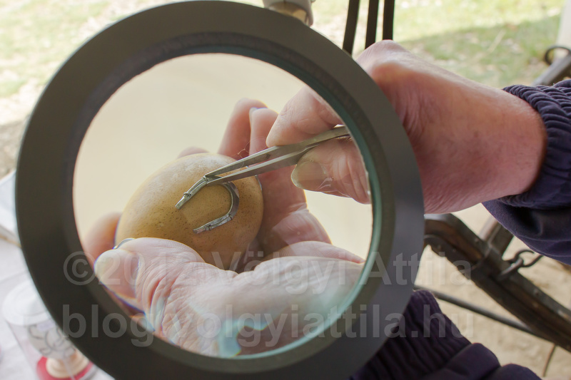 Craftsman mounts horseshoes on eggs