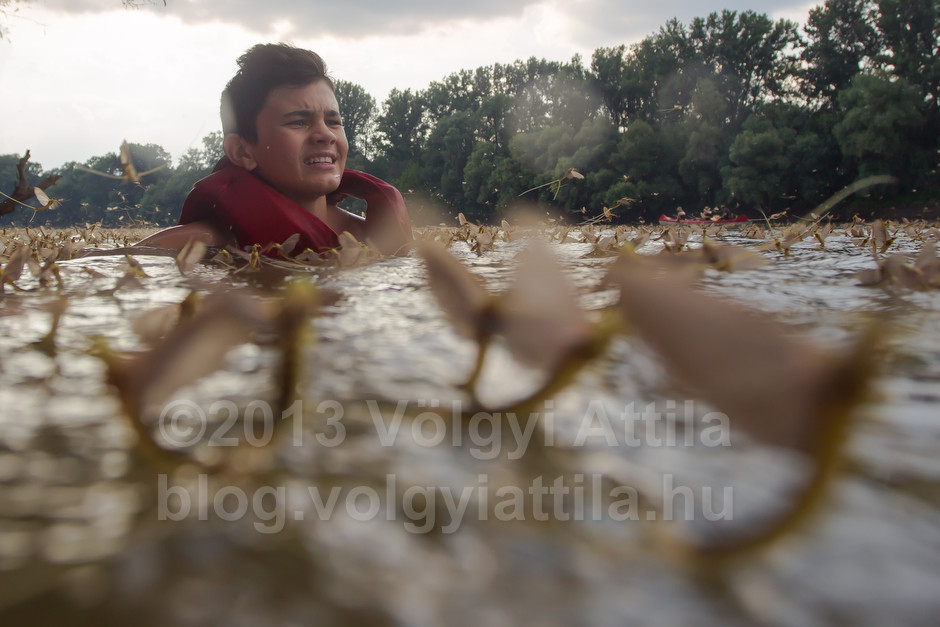 Boy swims among long-tailed mayflies