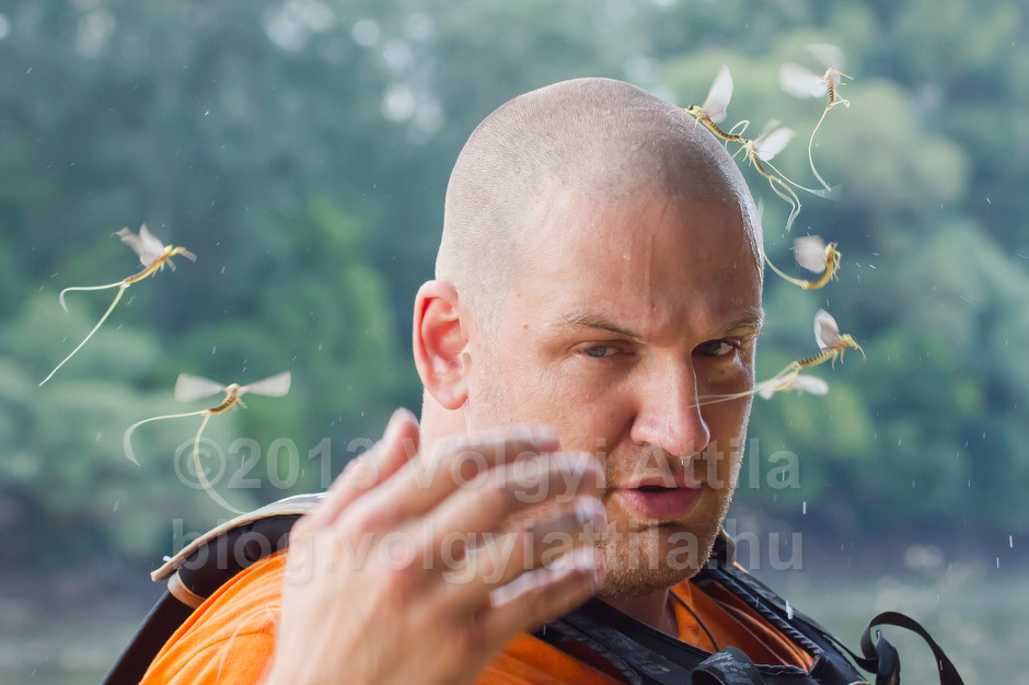 Man among long-tailed mayflies
