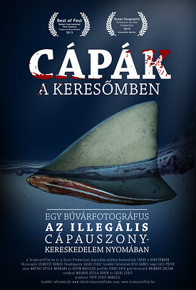 CapakAkeresomben-cover