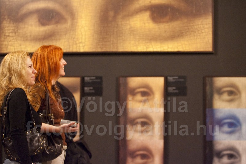 http://attilavolgyi.photoshelter.com/gallery-image/Da-Vinci-Exhibition/G0000yqs7GSDDBMk/I0000wuwUm8sI288/C0000neFeaqk30sg